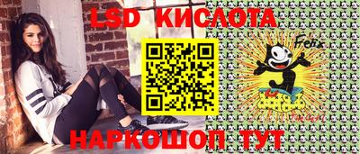 mdpv Гатчина