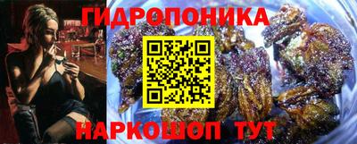mdpv Гатчина