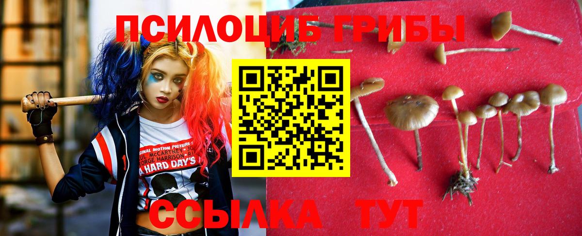 Бутурлиновка  Галлюциногенные грибы прущие грибы  Вход с VPN 